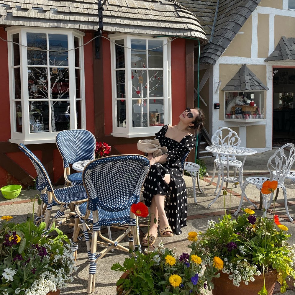 Reformation Rosamund Semi Vintage Dress